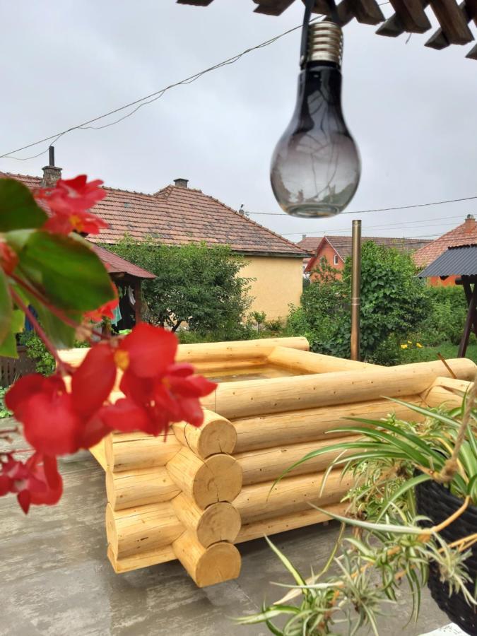 Becze Vanda Kulcsoshaz Lăzarea エクステリア 写真